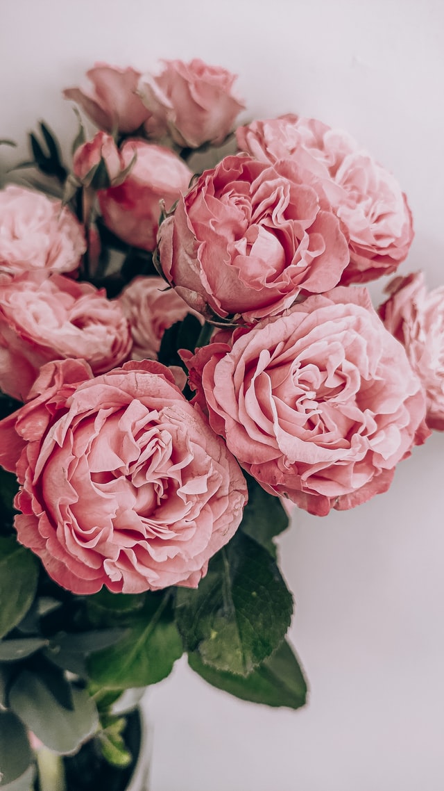 Pinke Rosen als Hochzeitsdeko